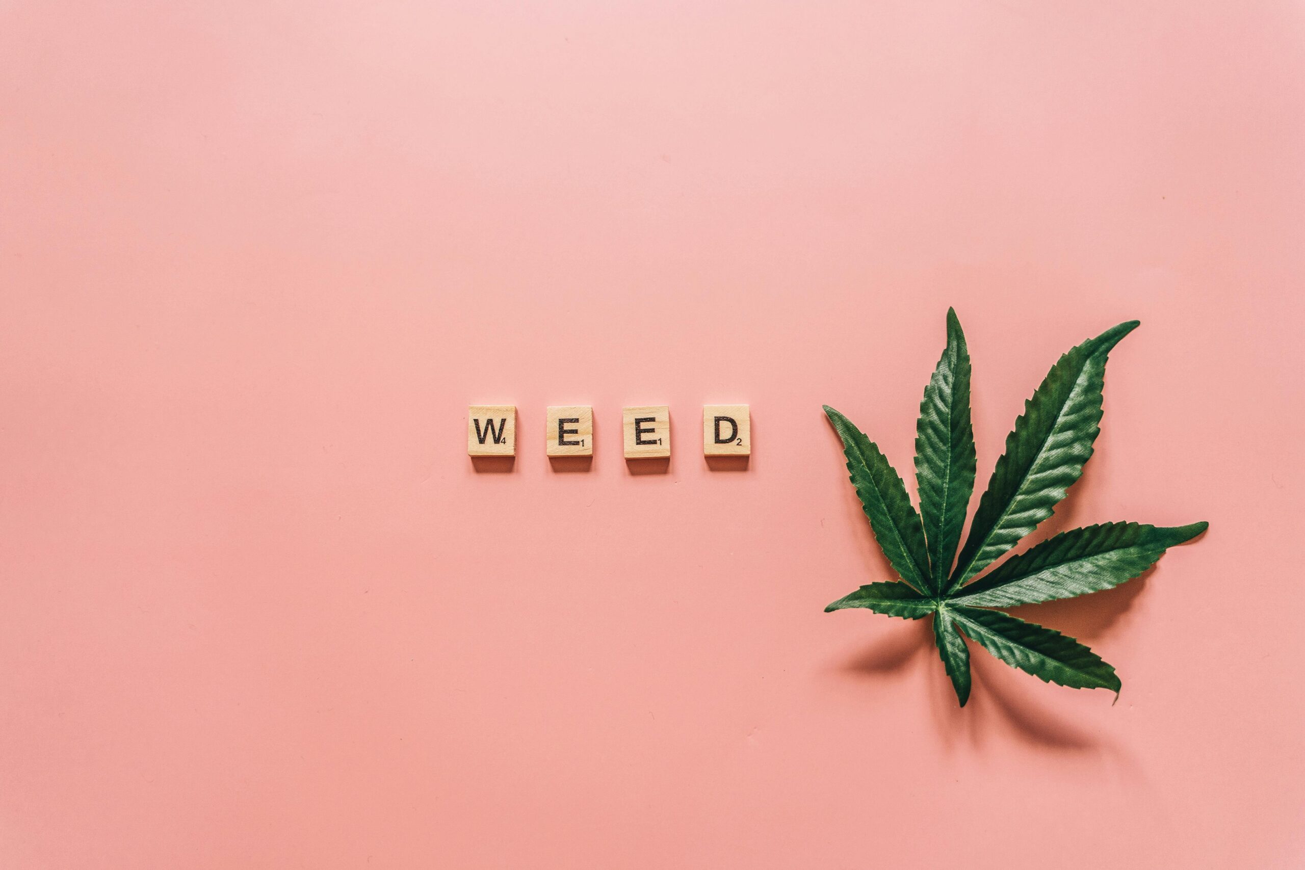 cannabis leaf